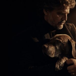Charakterportrait Hund im Studio Hitzkirch oder Outdoor, sanftes Licht